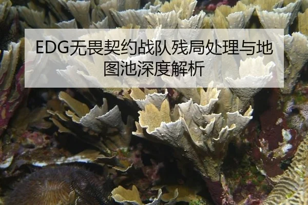 EDG无畏契约战队残局处理与地图池深度解析