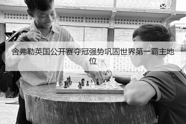 she-fu-lei-ying-guo-gong-kai-sai-duo-guan-qiang-shi-gong-gu-shi-jie-di-yi-ba-zhu-di-wei-2-805.jpg