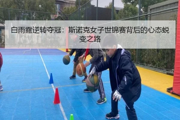 bai-yu-lu-ni-zhuan-duo-guan-si-nuo-ke-nv-zi-shi-jin-sai-bei-hou-de-xin-tai-tui-bian-zhi-lu-3-311.jpg