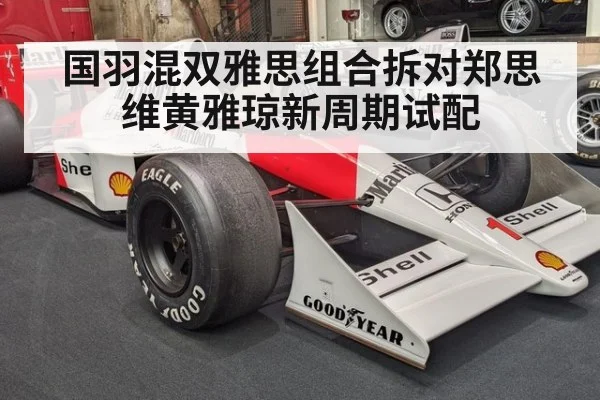 国羽混双雅思组合拆对郑思维黄雅琼新周期试配