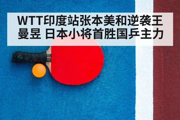 table tennis racket and ball